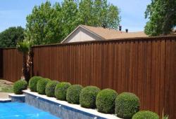 Inspiration Gallery - Pool Fencing - Image: 151